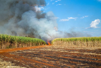 Scenic view of land against sky