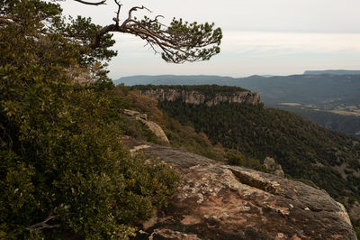 environment