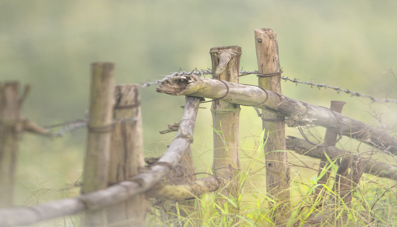 BARBED WIRE ON FIELD