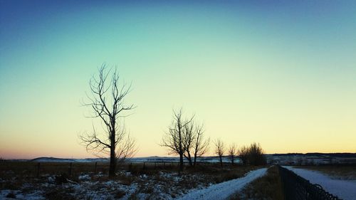 Bare trees on field against clear sky at sunset