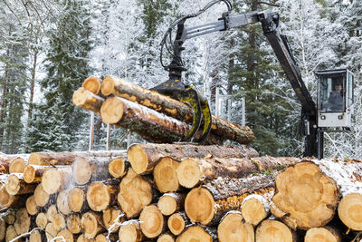 Crane stacking logs