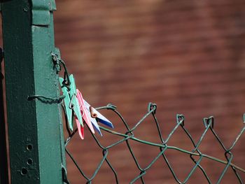 Close-up of metal fence