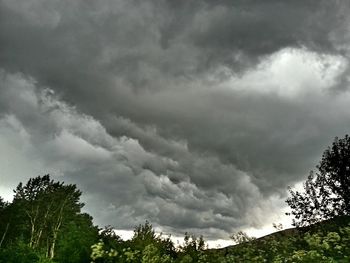 Low angle view of trees against cloudy sky