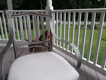 Man standing on chair