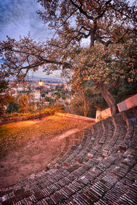Footpath by trees against sky during autumn