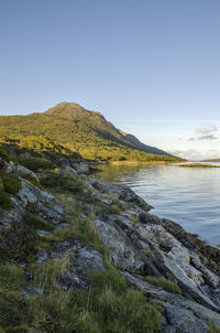 Scenic view of landscape against clear blue sky