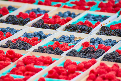 fruit
