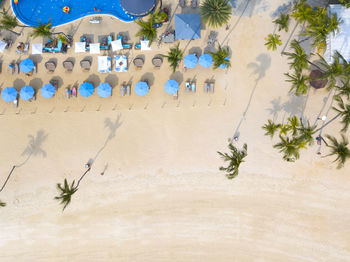 Palm trees on beach against sky