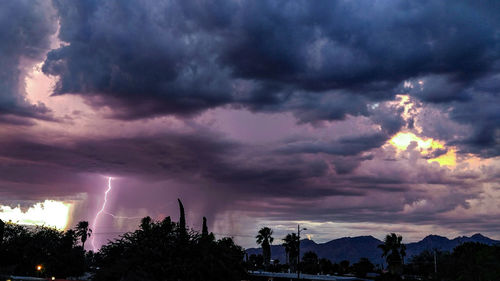 Storm clouds over trees