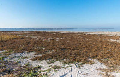 Scenic view of sea against clear blue sky