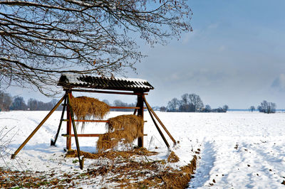 Snow covered field by trees against sky