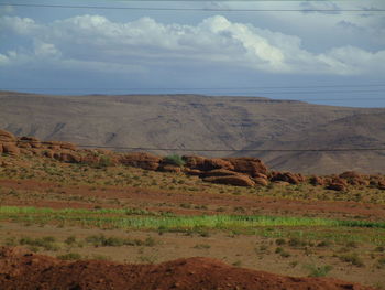 View of horse on field against sky
