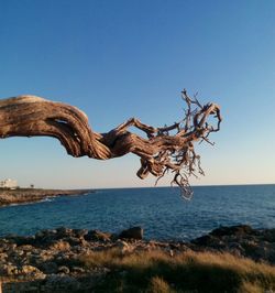 Scenic view of calm sea against clear sky