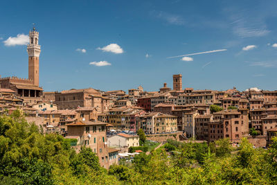 Buildings in city