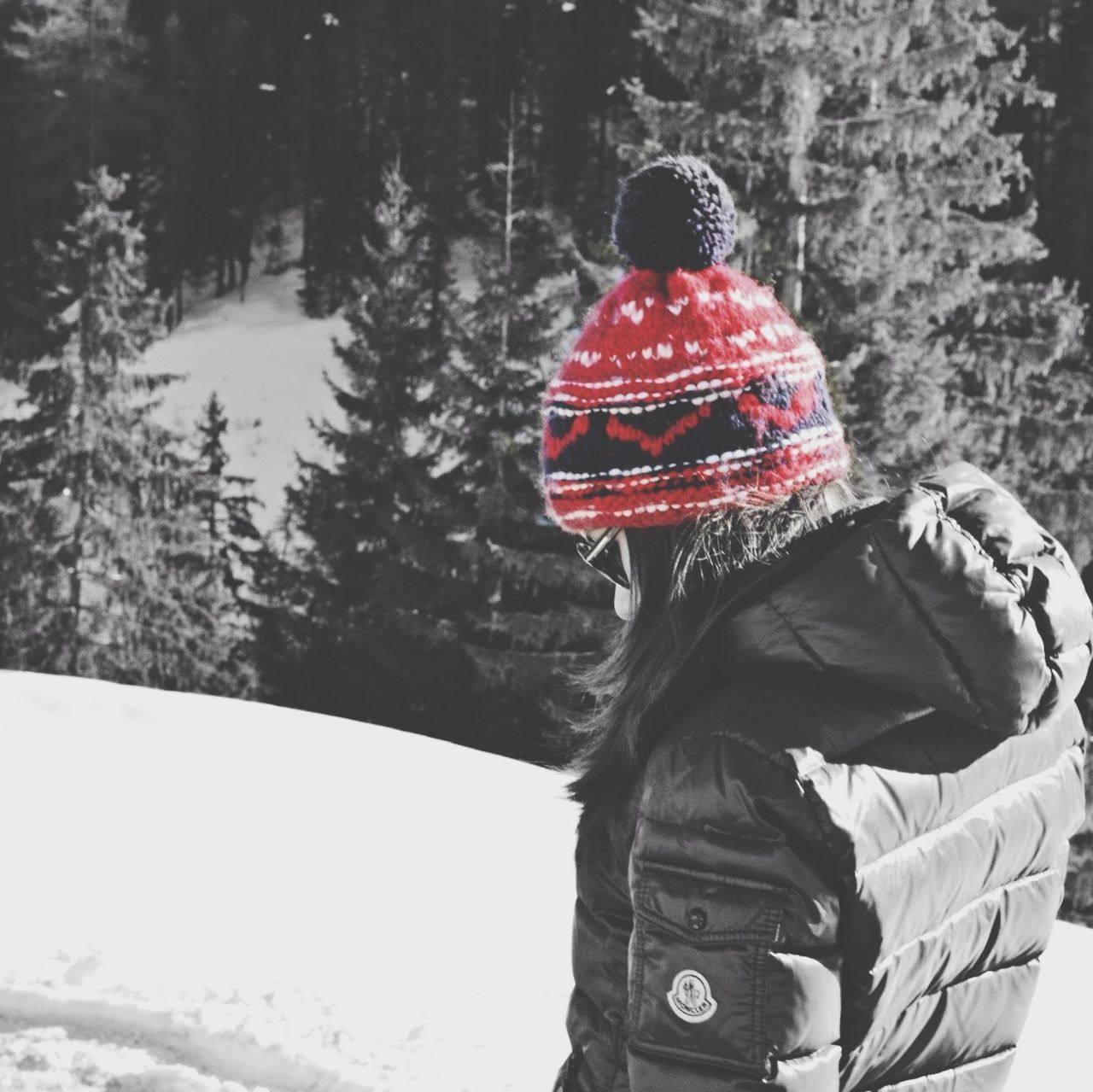 snow, winter, cold temperature, lifestyles, warm clothing, rear view, leisure activity, season, standing, men, red, weather, casual clothing, covering, person, full length, holding, knit hat