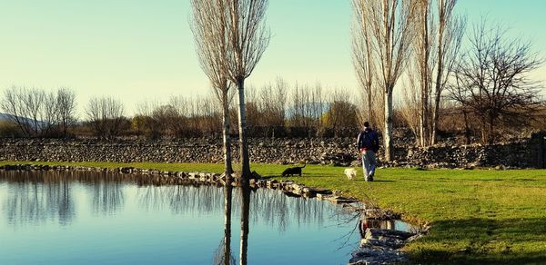 Reflection of bare trees in lake against sky