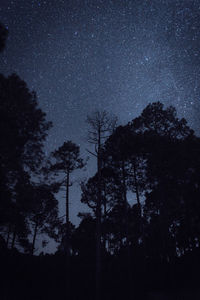 Low angle view of silhouette trees against sky at night