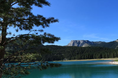 Scenic view of lake against blue sky