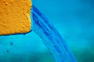 Close-up of jellyfish in water