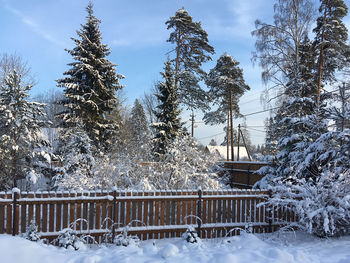 Snow covered field by trees against sky