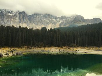 Scenic view of lake in forest during winter