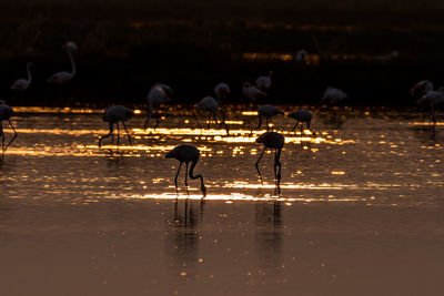 Rear view of people in lake