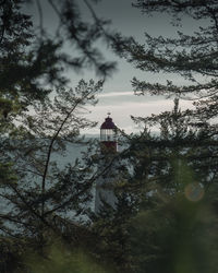 Lighthouse amidst trees against sky