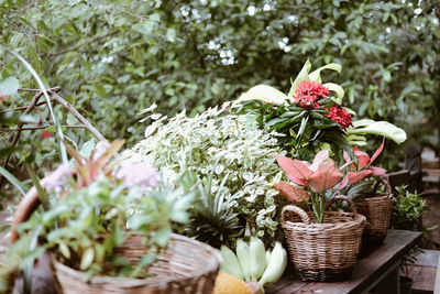 Flower and green plant leaves in wicker basket decorating on terrace balcony