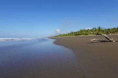 Scenic view of beach against clear blue sky