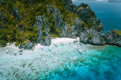 Scenic view of sea against trees