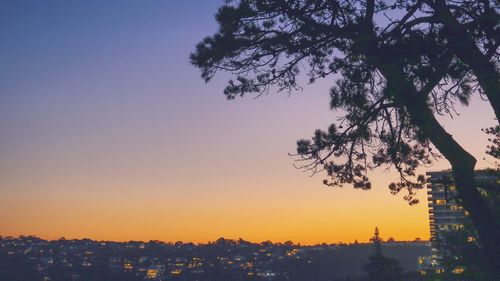 Silhouette tree against sky during sunset