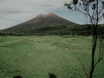 Scenic view of field against sky