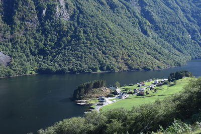 Scenic view of lake in forest