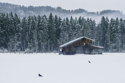 Scenic view of snow covered landscape