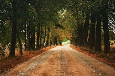Road amidst trees in forest during autumn