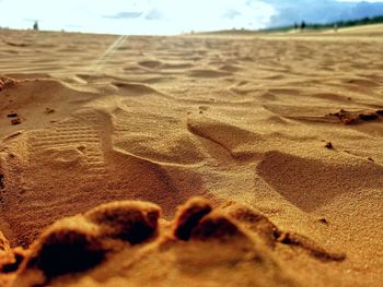 Close-up of sand dune