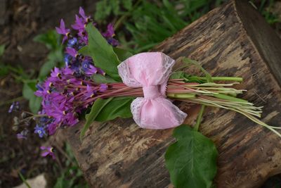 Close-up of purple flowering plant