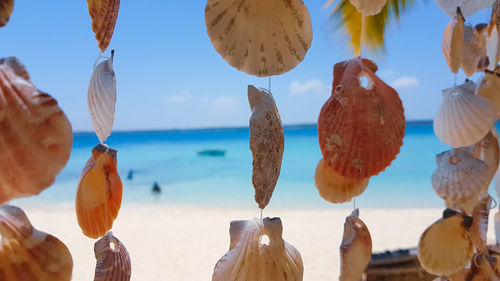 Panoramic view of beach