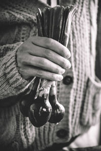 Close-up of person holding onions