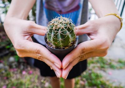 Midsection of woman holding succulent plant