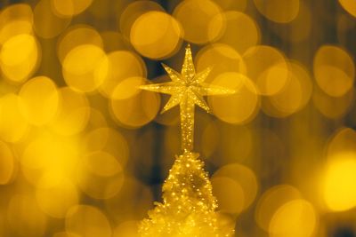 Close-up of illuminated christmas tree