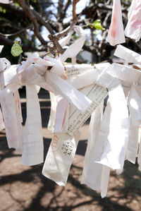 Close-up of paper tied hanging