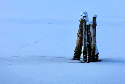 Wooden post on snow covered land against sky