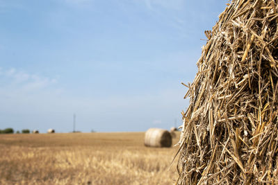 Hay bales on field against sky