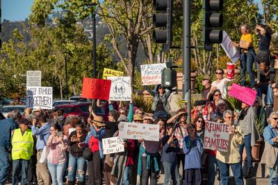 Protesters protesting against trees