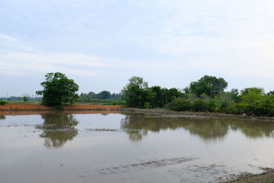 Scenic view of lake against sky