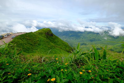 Scenic view of landscape against sky