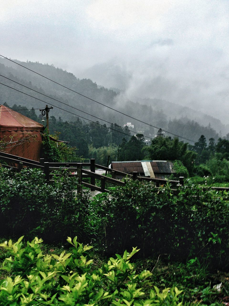 building exterior, architecture, built structure, house, sky, tree, residential structure, growth, green color, cloud - sky, mountain, nature, plant, residential building, roof, cloudy, landscape, weather, day, beauty in nature