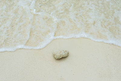 High angle view of wet sand on beach