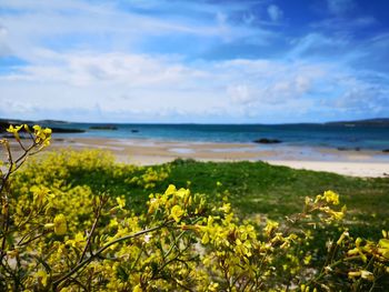 Scenic view of sea against cloudy sky